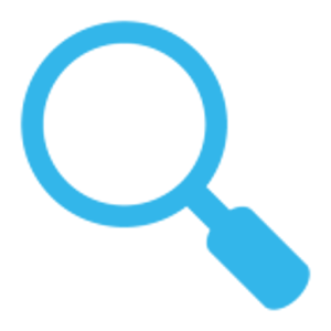DNS Log 1.1