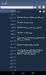 ކީރިތި ޤުރުއ (Quran in Divehi) poster 6