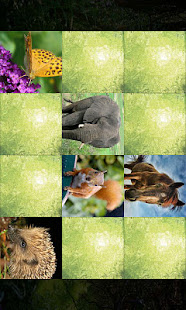 動物備註(圖2)-速報App