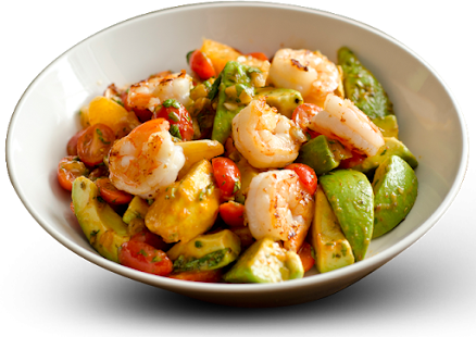 Lastest Quick Easy Paleo Diet Recipes APK for Android