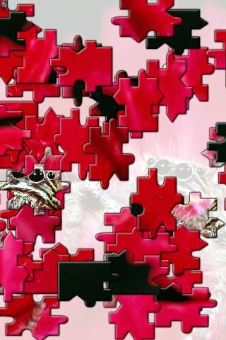 Cactaceae Jigsaw Puzzle 1.0 screenshots 2
