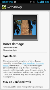 Palm Symptoms Key(圖3)-速報App