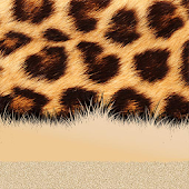 Xperia™ theme African Leopard