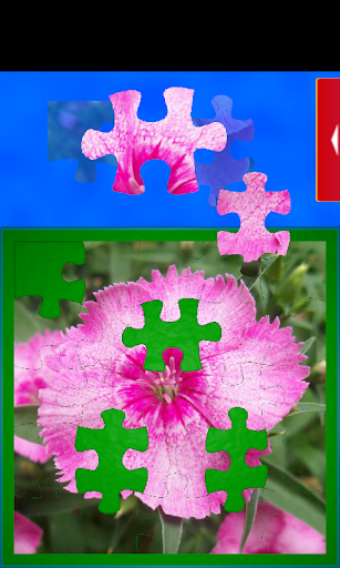 Video Jigsaw Puzzle