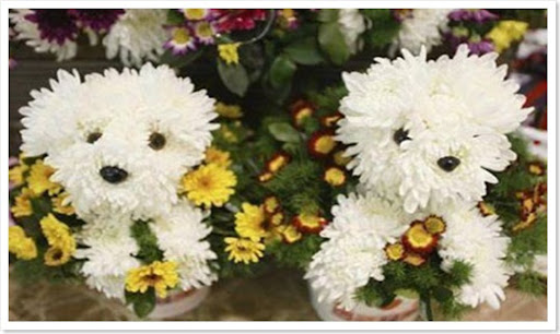 dog-flower-bouquet-1