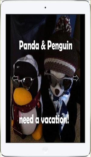 Panda Penguin need vacation