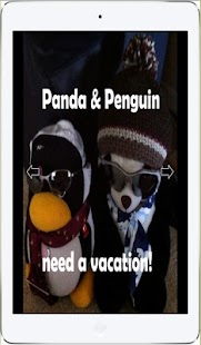 Lastest Panda & Penguin need vacation APK for Android