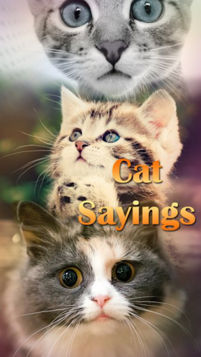 Cat Sayings