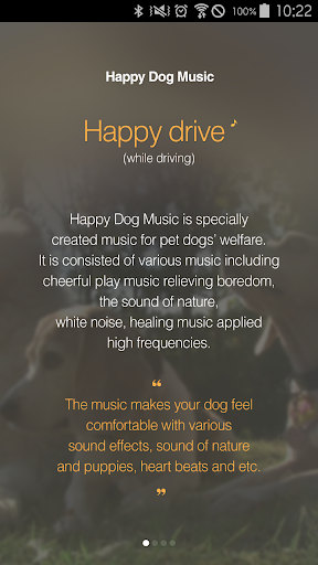 HAPPYDOGMUSIC 2