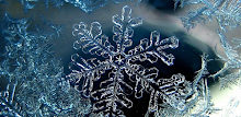 Snowflakes HD Wallpapers APK