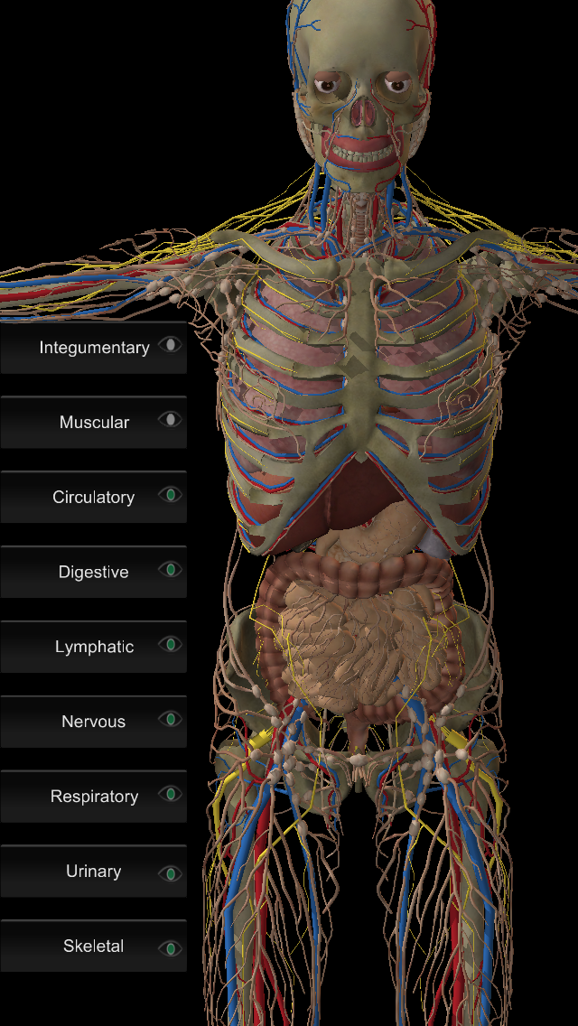Doctor 3D Screen 3
