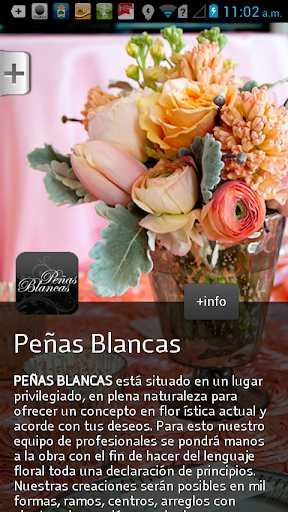 Peñas Blancas