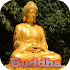 Gautama Buddha Live Wallpaper6.3