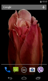 Flowers Video Live Wallpaper(圖3)-速報App
