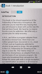 NA Basic Text Audio Book poster 7