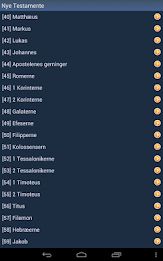 Danish Holy Bible poster 9