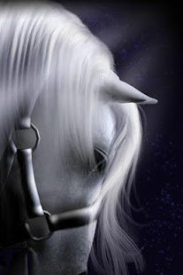 【免費娛樂App】Horse Wallpapers HD-APP點子