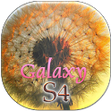 Galaxy S4 HD Wallpapers icon