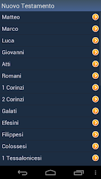 Italian Holy Bible poster 4