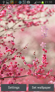 How to download Cherry Blossom Live Wallapper 4.0 mod apk for pc