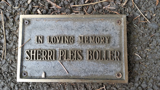 In Loving Memory Sherri Pleis Boller