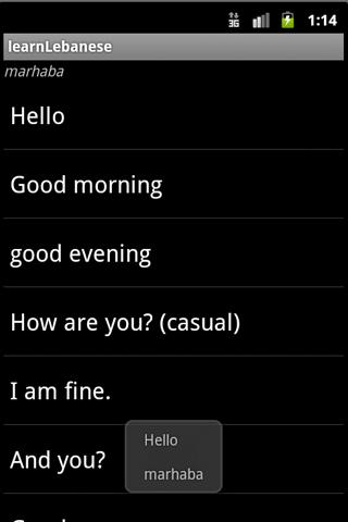 Learn Lebanese Screen 2
