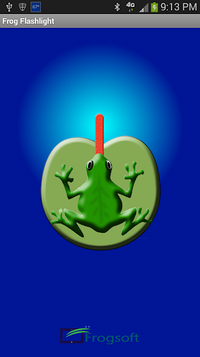 Frog Flashlight