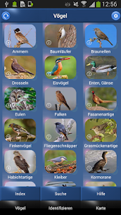 Vogel Id Schweiz - Gartenvögel identifizieren(圖2)-速報App