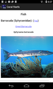 Florida Aquarium Guide - náhled