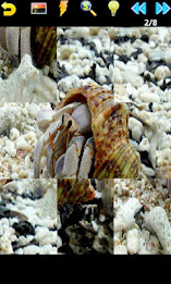 Ocean Puzzle poster 7