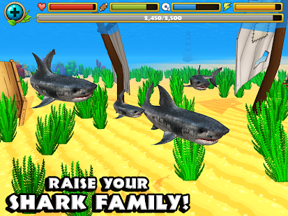 download Wildlife Simulator: Shark free