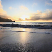 Ocean Waves at Sunset Live HD