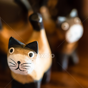 Cats by Danie Grundling - Artistic Objects Toys