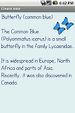 Butterfly Theme