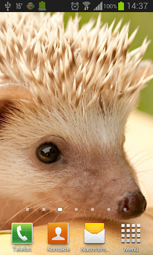 Hedgehogs Live Wallpaper