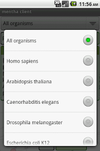   mentha the interactome browser- screenshot thumbnail   