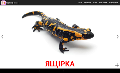 Картки Домана(圖6)-速報App