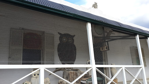 The Owl House Museum