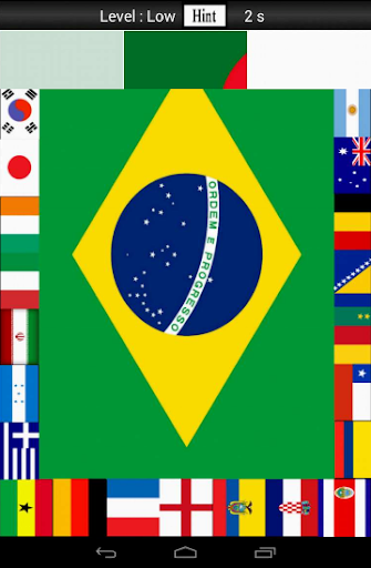 Flagz World Cup 2014 Puzzle