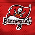 Tampa Bay Buccaneers Theme logo