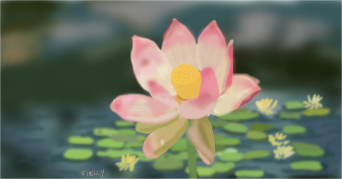Lotus