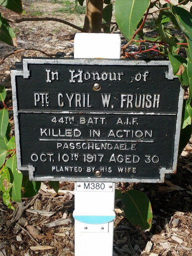 Private Cyril W Fruish