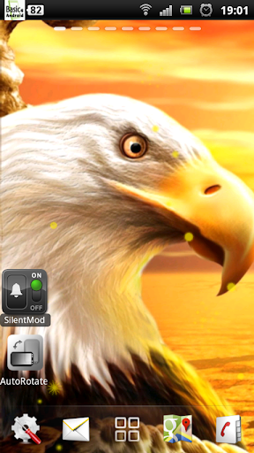 live eagle wallpaper