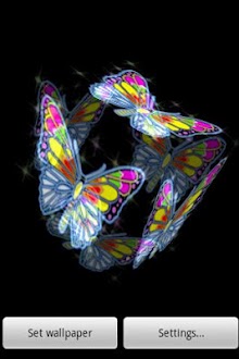 3D Butterfly 022