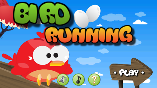 Bird Running