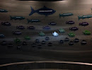 Aquarium Memorial Wall