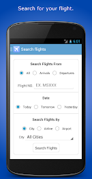 Cairo Airport poster 3