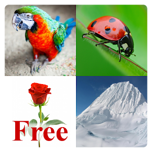 Learn English Words Free 1.05