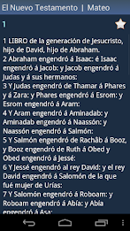 Spanish Holy Bible poster 5