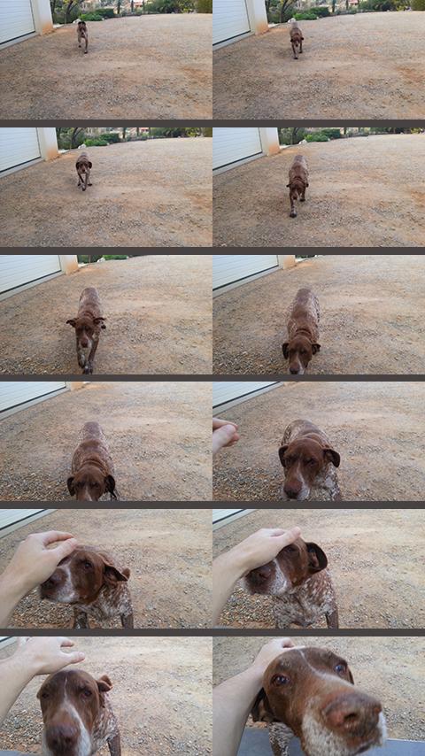 Android application Photo Burst 4k Timer Camera screenshort